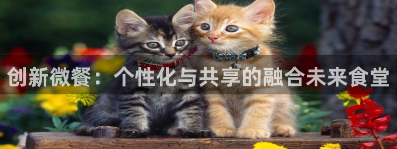 尊龙ag旗舰官网