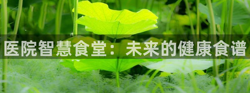 尊龙凯时网娱乐最新版