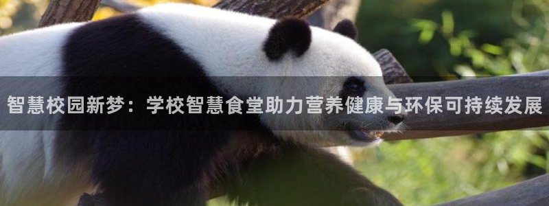 尊龙凯时能提现吗