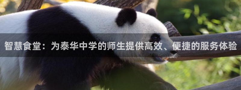 尊龙凯时链接