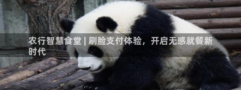 尊龙凯时出款