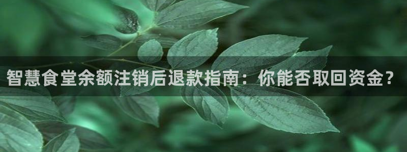 凯时游戏app：智慧食堂余额注销后退款指南：你能否取回资金？