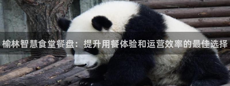 尊龙平台有谁玩过：榆林智慧食堂餐盘：提升用餐体验和运营效率的