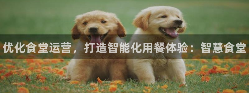 尊龙AG旗舰厅app下载：优化食堂运营，打造智能化用餐体验：