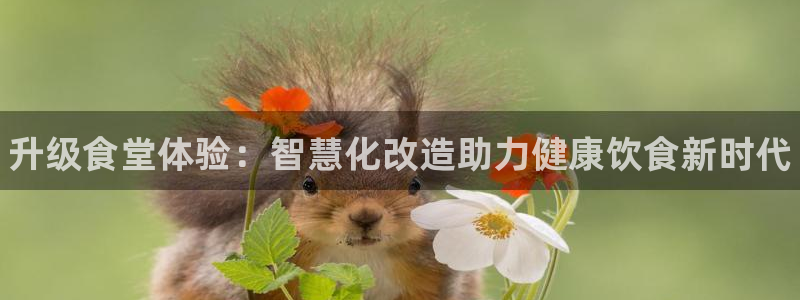 尊龙app最新版本官网