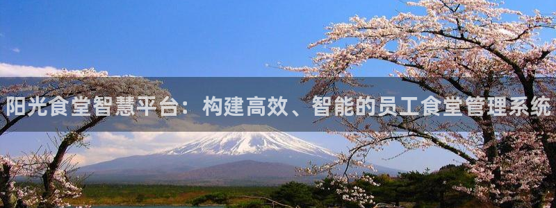 国际凯时ag优质运营商